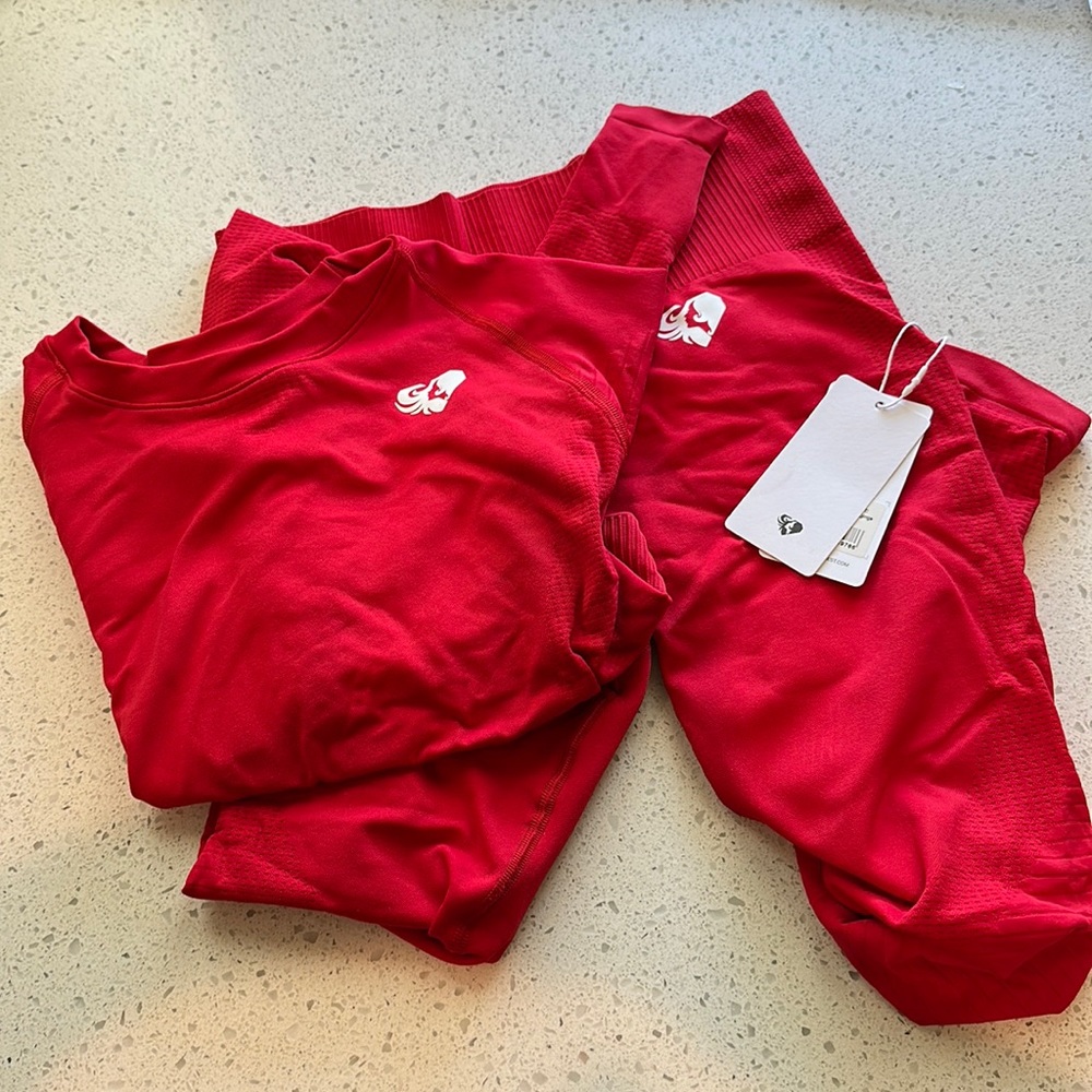 Women’s Best seamless leggings and long sleeve crop set